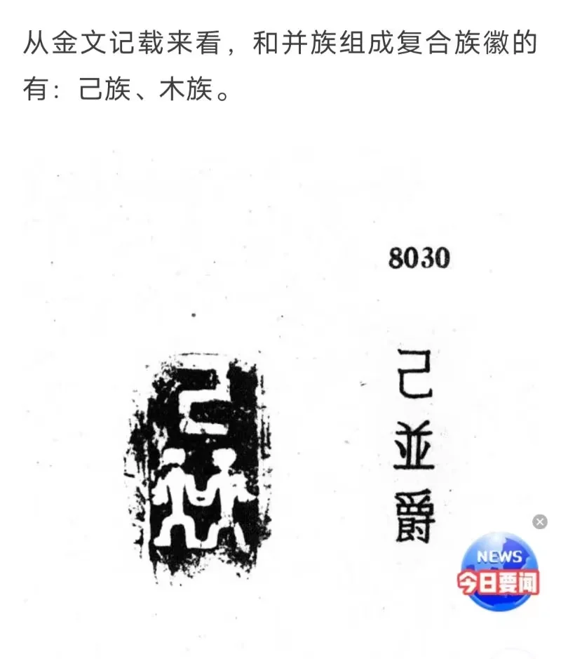 图17 己族 木族(图片来自网络)