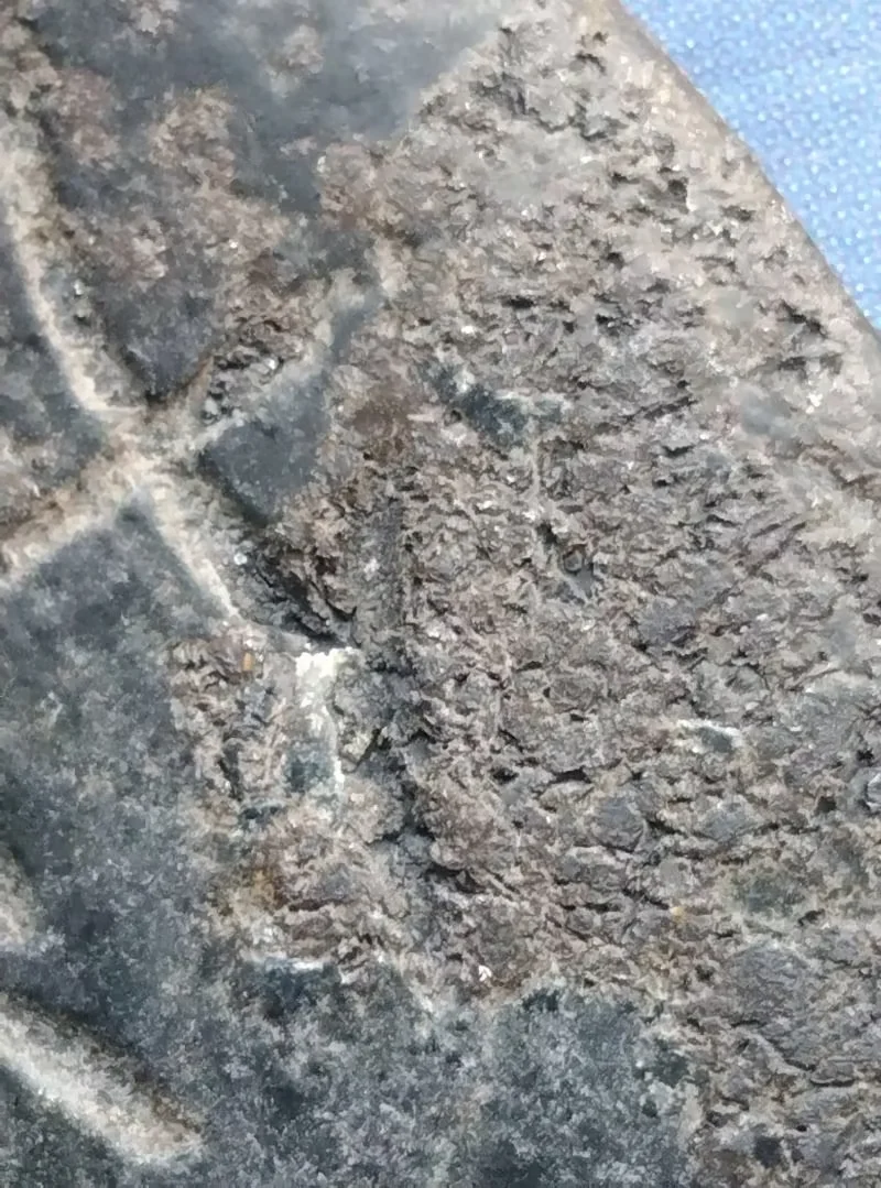 图4 红山文化玉璧风化皮壳