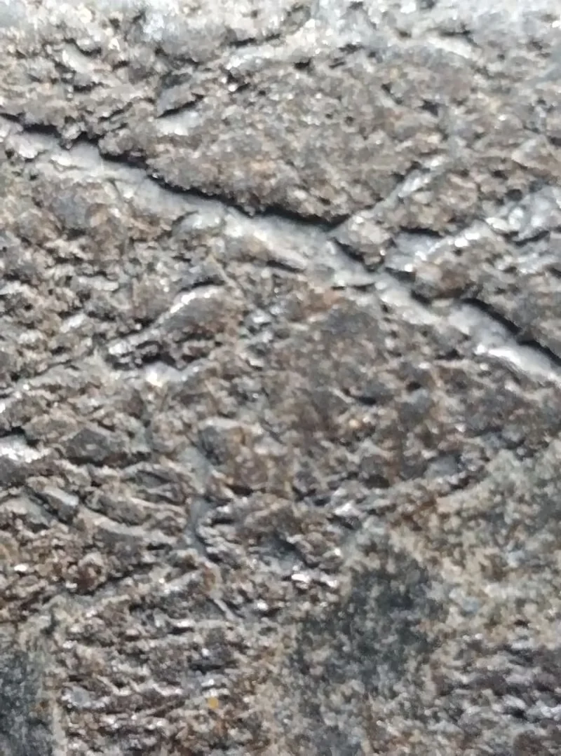 图5 红山文化玉璧风化皮壳