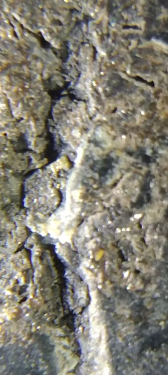 图6 红山文化玉璧风化皮壳